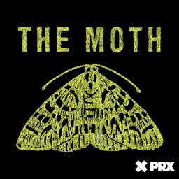 Podcast image for The Moth